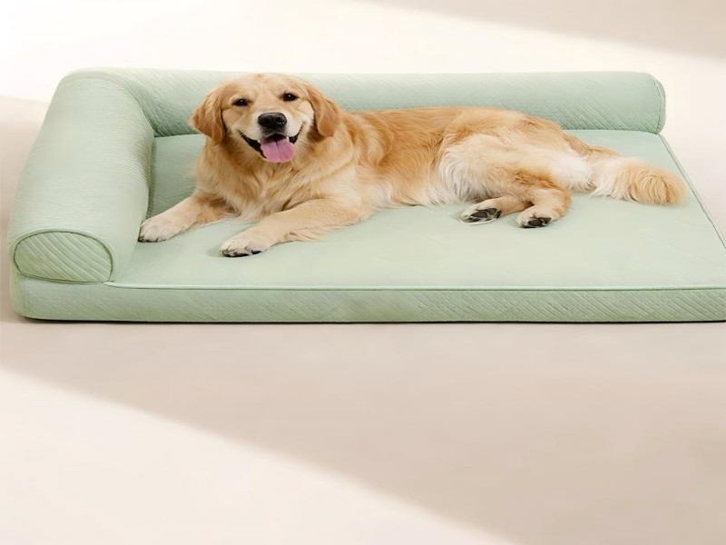 Dog cooling mats are used directly under the pet, so