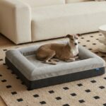 Best Dog Cooling Mat