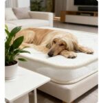 Orthopedic Dog Beds for Crates with Latex and Five-Layer Support