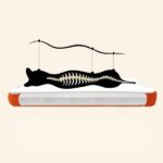 Fully Removable Orthopedic Dog Mattresses with 4D Air-Fiber Support