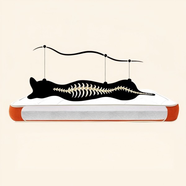 Fully Removable Orthopedic Dog Mattresses with 4D Air-Fiber Support