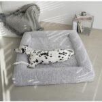 Extra Large Orthopedic Dog Beds for Large and Giant Breeds