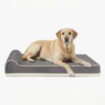 Large Orthopedic Dog Beds for Wholesale and Private Label