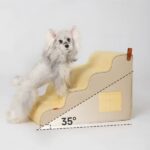 Low-Step Dog Stairs for Senior Dogs and Easy Indoor Access