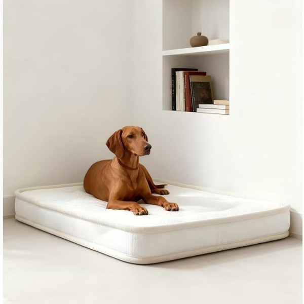 Orthopedic Dog Beds for Crates with Latex and Five-Layer Support