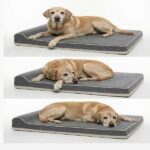 Large Orthopedic Dog Beds for Wholesale and Private Label
