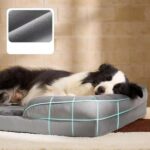 Orthopedic Dog Bed NZ Supplier for Wholesale & Private Label
