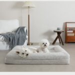 Extra Large Orthopedic Dog Beds for Large and Giant Breeds