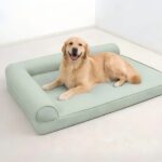 Cooling Orthopedic Dog Bed for Summer Comfort and Support