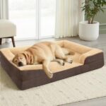 Orthopedic Dog Bed Manufacturer for Retail and Private Label Ranges
