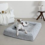 Extra Large Orthopedic Dog Beds for Large and Giant Breeds
