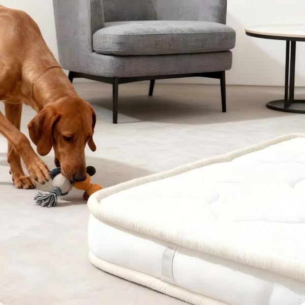 Orthopedic Dog Beds for Crates with Latex and Five-Layer Support