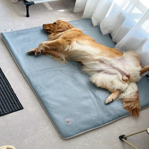 Non Gel Cooling Mat for Dogs Manufacturer