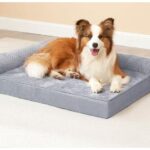 Orthopedic Dog Bed Canada Market Collection