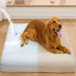 Cooling Orthopedic Dog Bed for Summer Comfort and Support