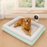 Cooling Orthopedic Dog Bed for Summer Comfort and Support
