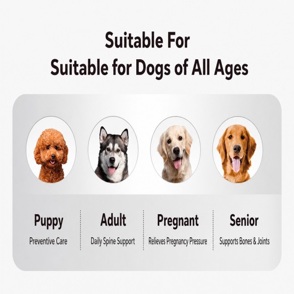 Orthopedic Dog Bed Manufacturer for Retail and Private Label Ranges