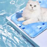 Pet Cooling Mat Manufacturer | Water-Filled & Gel Cooling Mats