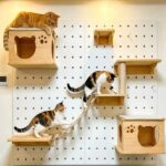 Cat Climbing Wall Shelves Manufacturer | Modular Pegboard Cat Wall System