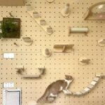 Cat Climbing Wall Shelves Manufacturer | Modular Pegboard Cat Wall System