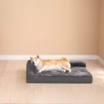 Orthopedic Dog Bed Canada Market Collection