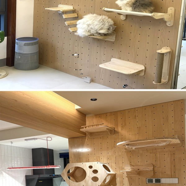 Wall Mounted Cat Furniture Manufacturer | Modular Pegboard Cat Wall System