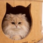 Felt Cat House Cave Manufacturer | Round Peekaboo Cat Houses
