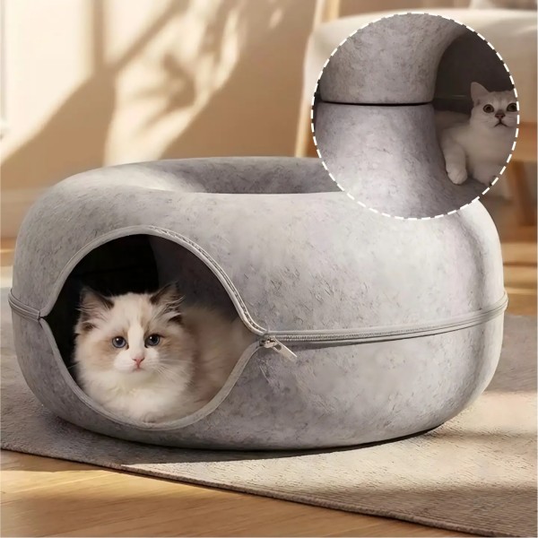 Donut Ring Tunnel with an Enclosed Route