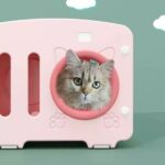 Plastic Cat Condo Manufacturer | Modular & Stackable Plastic Cat Houses