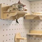 Modern Cat Wall Shelves Manufacturer | Floating Pegboard Cat Shelves