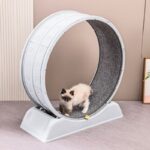 Cat Exercise Wheel Manufacturer | Modular PP Running Wheel