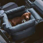 Pet Car Seat for Dogs Manufacturer | Padded Travel Seat Beds