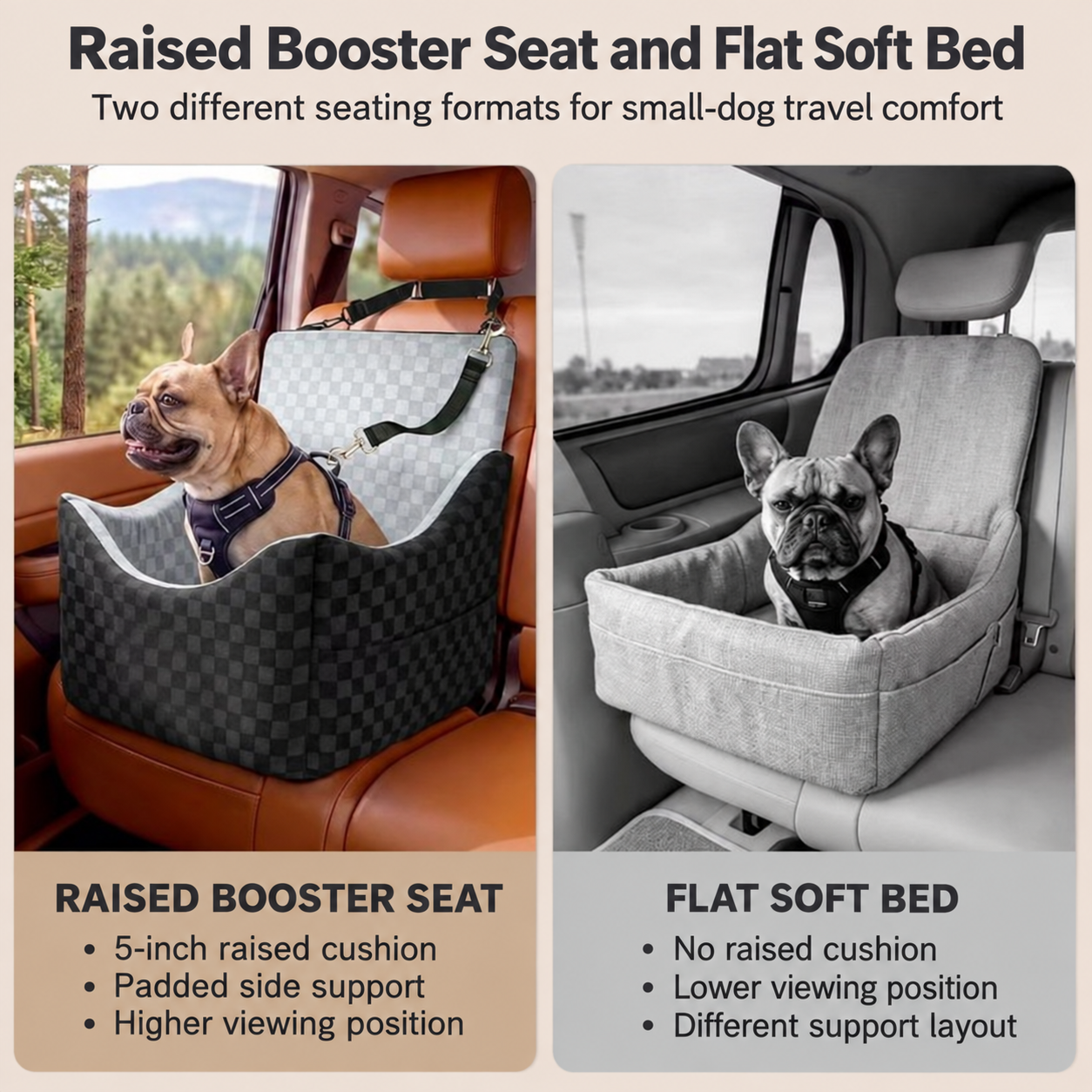 Archova dog car seat with vehicle-placement components