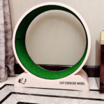 Cat Exercise Wheel Manufacturer | Modular PP Running Wheel