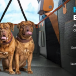 Backseat Extender for Dogs Manufacturer | Hard Bottom Car Platform