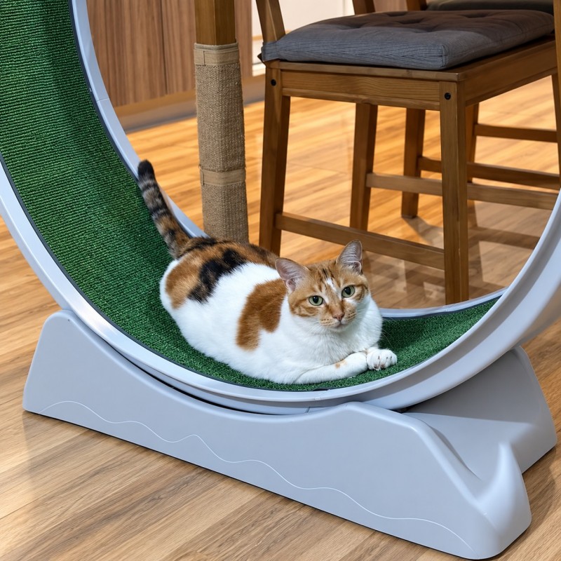 Cat Exercise Wheel Manufacturer | Modular PP Running Wheel