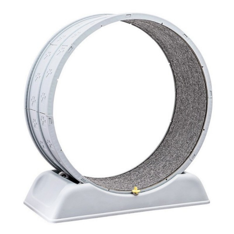 Cat Exercise Wheel Manufacturer | Modular PP Running Wheel