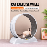Cat Exercise Wheel Manufacturer | Modular PP Running Wheel